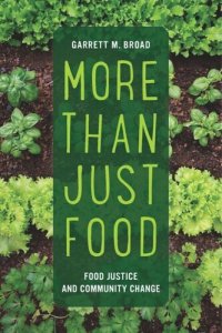 cover of the book More Than Just Food: Food Justice and Community Change