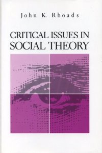 cover of the book Critical Issues in Social Theory