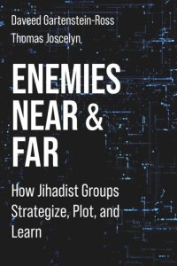 cover of the book Enemies Near and Far: How Jihadist Groups Strategize, Plot, and Learn