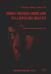 cover of the book Indios y mestizos en la España del siglo XVI