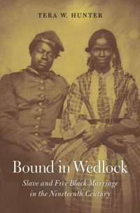 cover of the book Bound in Wedlock: Slave and Free Black Marriage in the Nineteenth Century