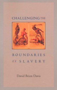 cover of the book Challenging the Boundaries of Slavery