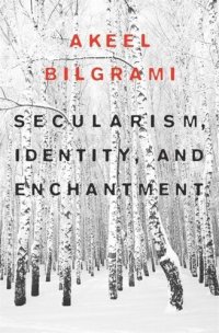 cover of the book Secularism, Identity, and Enchantment