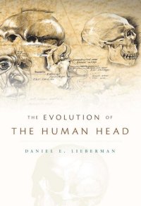 cover of the book The Evolution of the Human Head