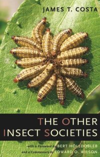 cover of the book The Other Insect Societies