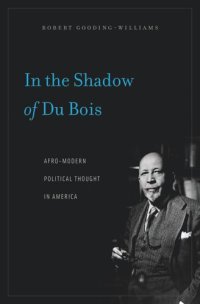 cover of the book In the Shadow of Du Bois: Afro-Modern Political Thought in America