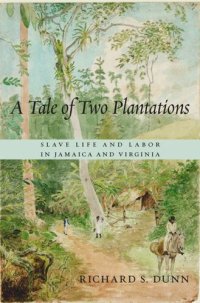 cover of the book A Tale of Two Plantations: Slave Life and Labor in Jamaica and Virginia