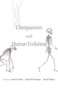 cover of the book Chimpanzees and Human Evolution