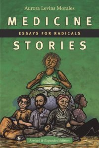 cover of the book Medicine Stories: Essays for Radicals