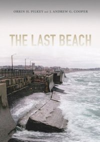 cover of the book The Last Beach