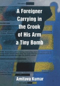 cover of the book A Foreigner Carrying in the Crook of His Arm a Tiny Bomb