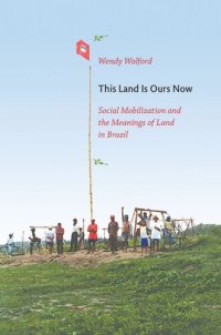 cover of the book This Land Is Ours Now: Social Mobilization and the Meanings of Land in Brazil