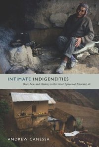 cover of the book Intimate Indigeneities: Race, Sex, and History in the Small Spaces of Andean Life