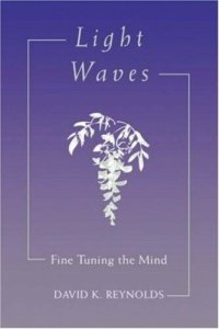 cover of the book Light Waves: Fine Tuning the Mind