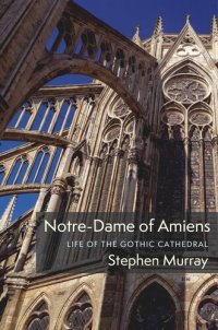 cover of the book Notre-Dame of Amiens: Life of the Gothic Cathedral