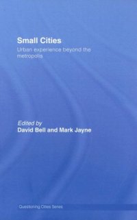 cover of the book Small Cities: Urban Experience Beyond the Metropolis 