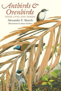 cover of the book Antbirds and Ovenbirds: Their Lives and Homes