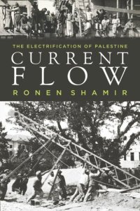 cover of the book Current Flow: The Electrification of Palestine