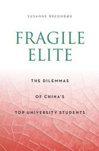 cover of the book Fragile Elite: The Dilemmas of China's Top University Students