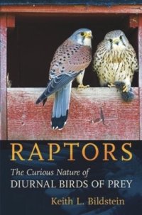 cover of the book Raptors: The Curious Nature of Diurnal Birds of Prey