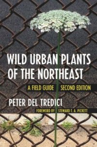 cover of the book Wild Urban Plants of the Northeast: A Field Guide