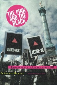 cover of the book The Pink and the Black: Homosexuals in France Since 1968