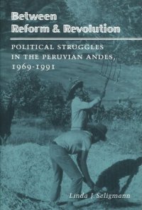 cover of the book Between Reform and Revolution: Political Struggles in the Peruvian Andes, 1969-1991