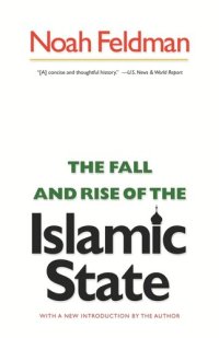 cover of the book The Fall and Rise of the Islamic State