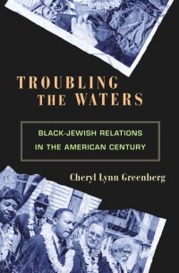 cover of the book Troubling the Waters: Black-Jewish Relations in the American Century