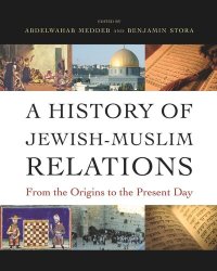 cover of the book A History of Jewish-Muslim Relations: From the Origins to the Present Day