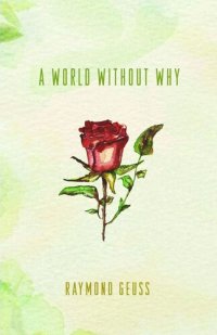 cover of the book A World without Why