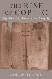 cover of the book The Rise of Coptic: Egyptian versus Greek in Late Antiquity