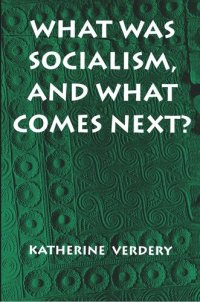 cover of the book What Was Socialism, and What Comes Next?