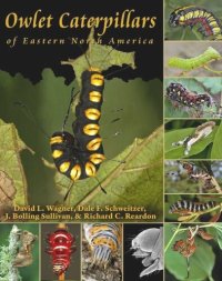 cover of the book Owlet Caterpillars of Eastern North America