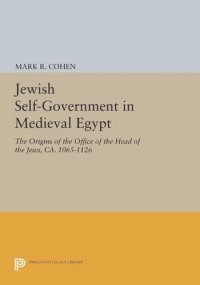 cover of the book Jewish Self-Government in Medieval Egypt: The Origins of the Office of the Head of the Jews, ca. 1065-1126