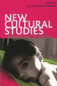 cover of the book New Cultural Studies: Adventures in Theory