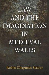 cover of the book Law and the Imagination in Medieval Wales