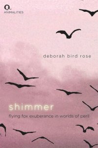 cover of the book Shimmer: Flying Fox Exuberance in Worlds of Peril