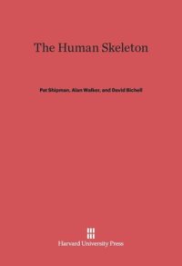 cover of the book The Human Skeleton