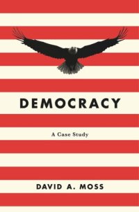 cover of the book Democracy: A Case Study