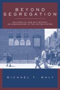 cover of the book Beyond Segregation: Multiracial and Multiethnic Neighborhoods