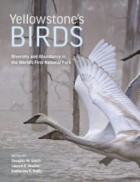 cover of the book Yellowstone’s Birds: Diversity and Abundance in the World’s First National Park