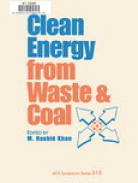 cover of the book Clean Energy from Waste and Coal