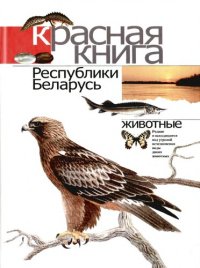 cover of the book Красная книга Республики Беларусь. Животные. Редкие и находящиеся под угрозой исчезновения виды диких животных.