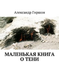 cover of the book Маленькая книга о Тени