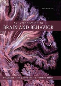 cover of the book An Introduction to Brain and Behavior