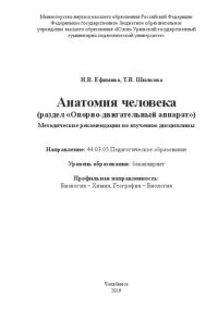 cover of the book Анатомия человека (раздел «Опорно-двигательный аппарат»)