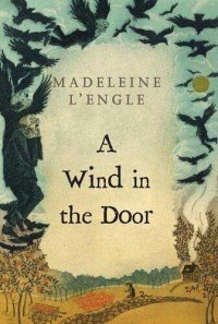 cover of the book A Wind in the Door