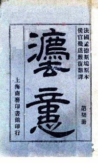 cover of the book 法意