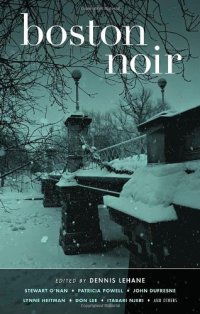 cover of the book Boston Noir